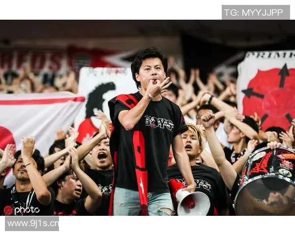 球迷文化的魅力与传承：从激情呐喊到全球社区的建设与发展